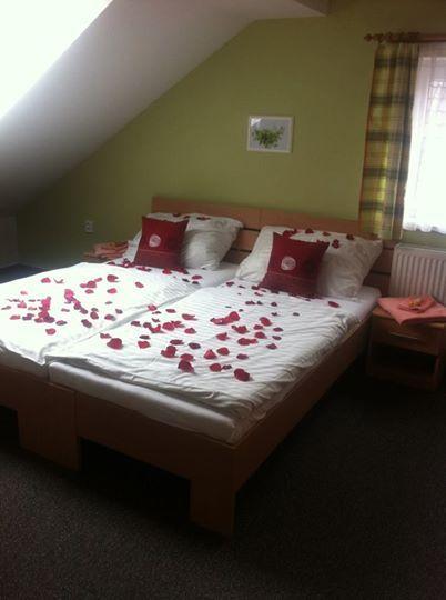 Penzion Oregano Trebon Room photo